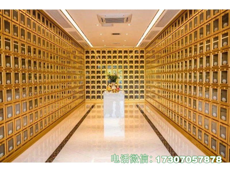 ​​Nimbus Niche​​