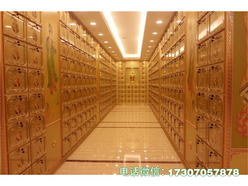 ​​Longevity Nexus System​​